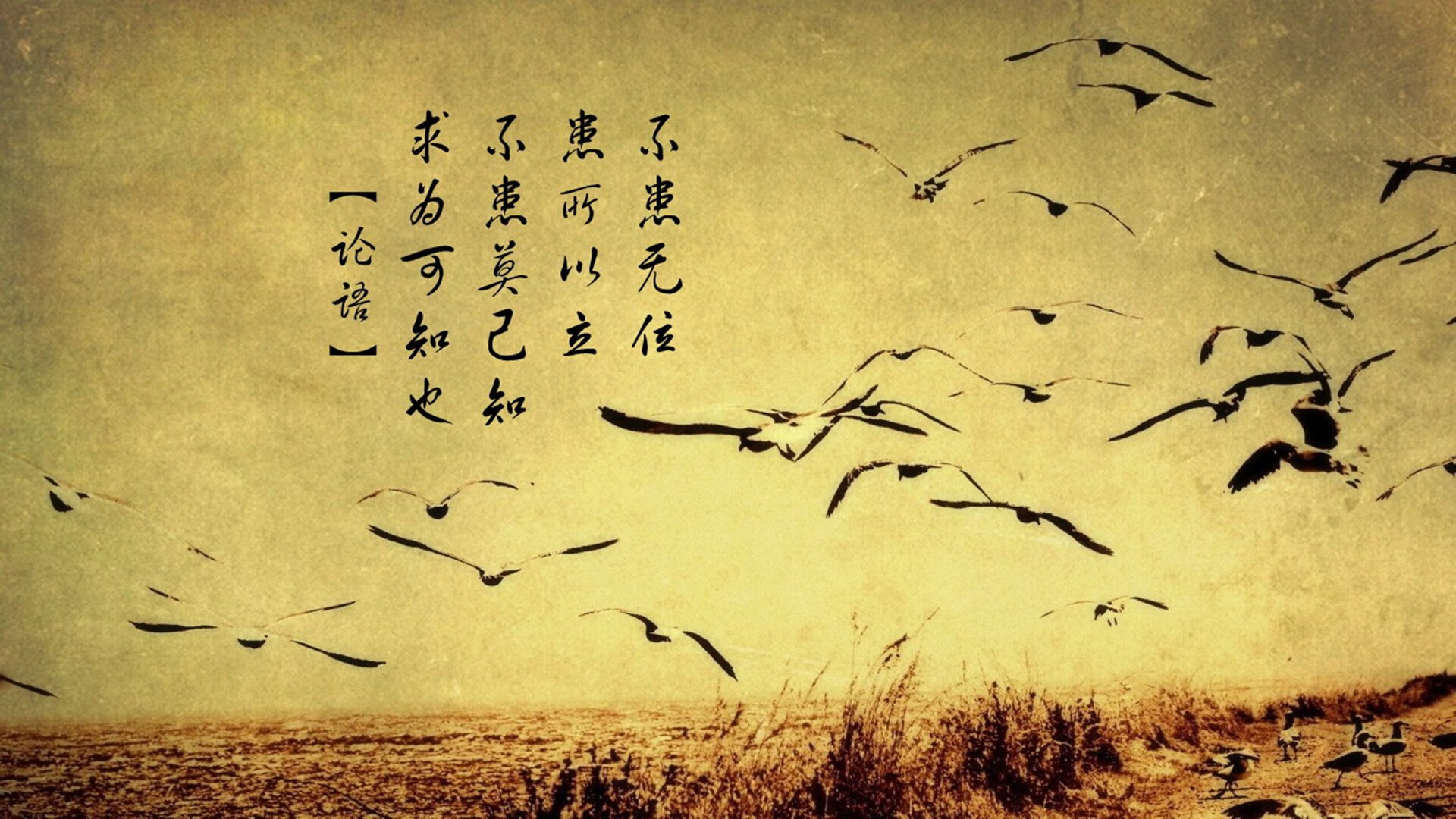 mk体育官网-德甲高强度对抗中体能消耗与失误关系研究，德甲体能测试