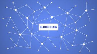 MK体育应用-英超青训引入虚拟现实技术强化战术理解和实战演练，英超本土青训规则